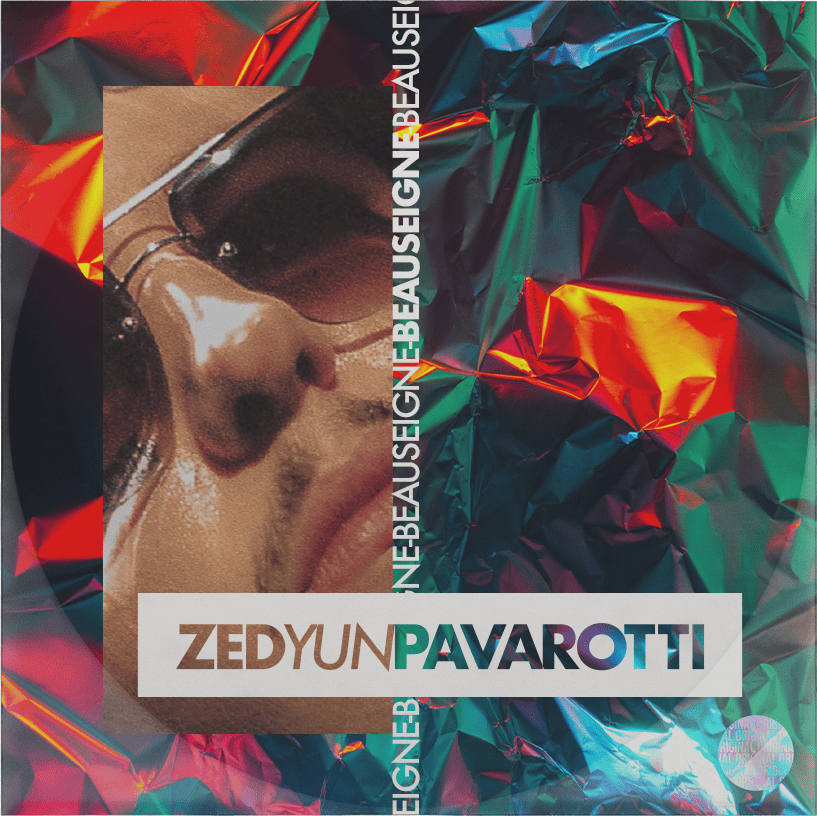 Zed Yun Pavarotti - Beauseigne